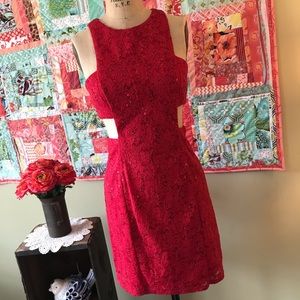 Morgan & Co. Lace Cutout Formal Dress